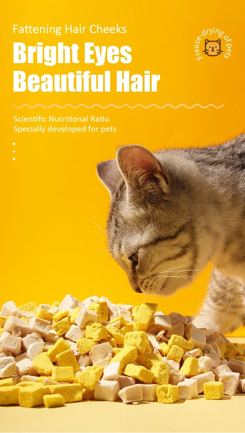 Cat Snacks Pet Freeze-dried Chicken Breast Duck Meat Diced Quail Dried Salmon Egg Yolk Adult Cats Kitten Dog Snacks Pet Food