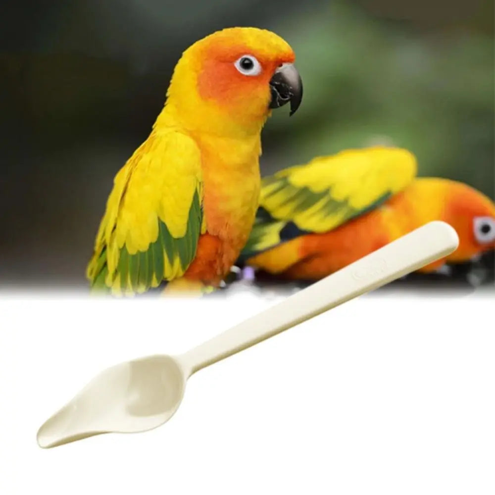 Plastic Bird Milk Powder Feeder Long Handle Thickened Chicks Medicine Spoon Heat-resisting Bird Food Water Spoon for Feeding