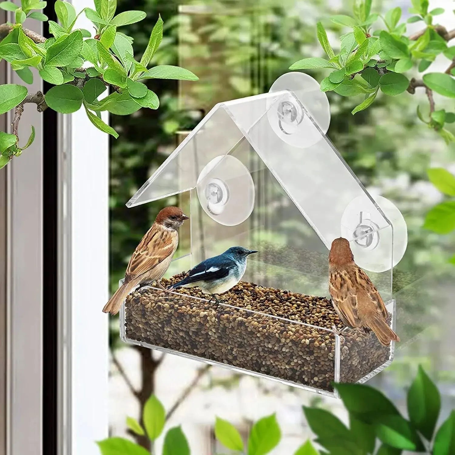 Acrylic Bird Feeder Clear Window Outside Hanging Bird Feeder House with Suction Cup for Garden Outdoor Backyard Wildlife Birding