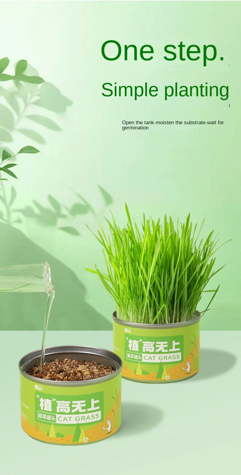 Cat Grass Jar Snacks for Adult Cats and Kittens Green Plant Wheat Seedling Hair Balls To Supplement Nutritional Cat Snacks