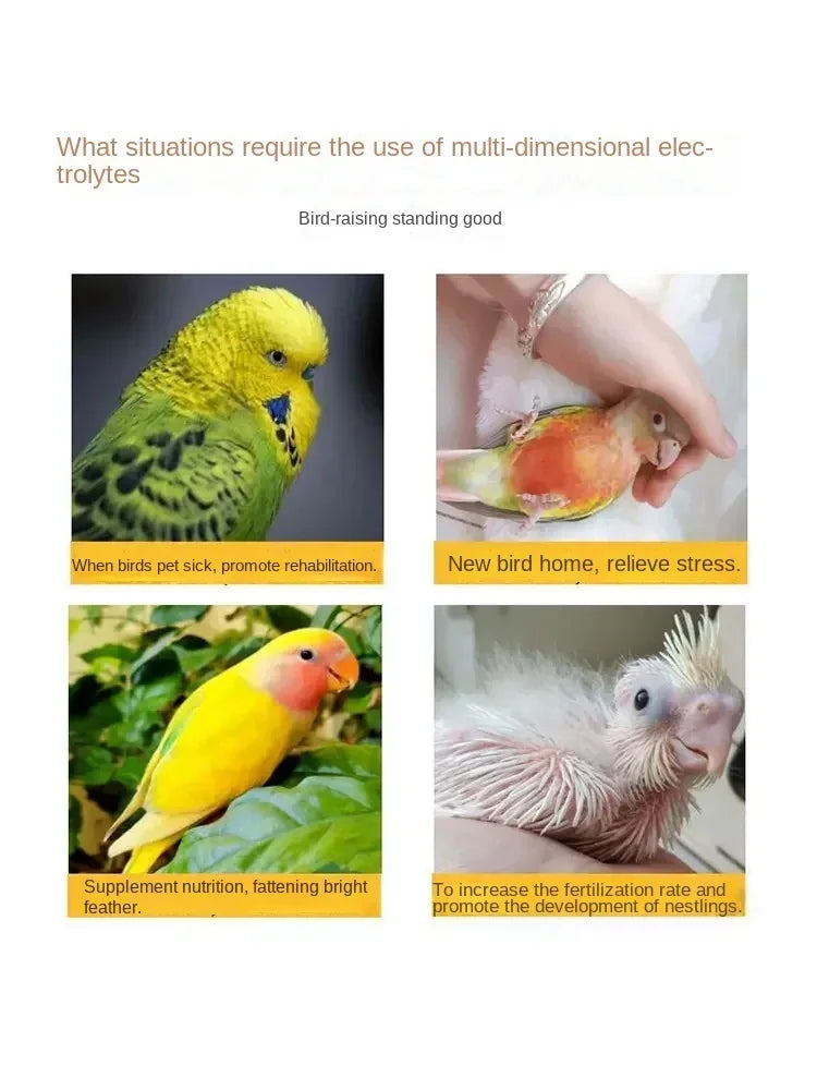 Parrot pigeon special electrolyte water multi-dimensional chicken parrot supplies pigeon nutrition bird