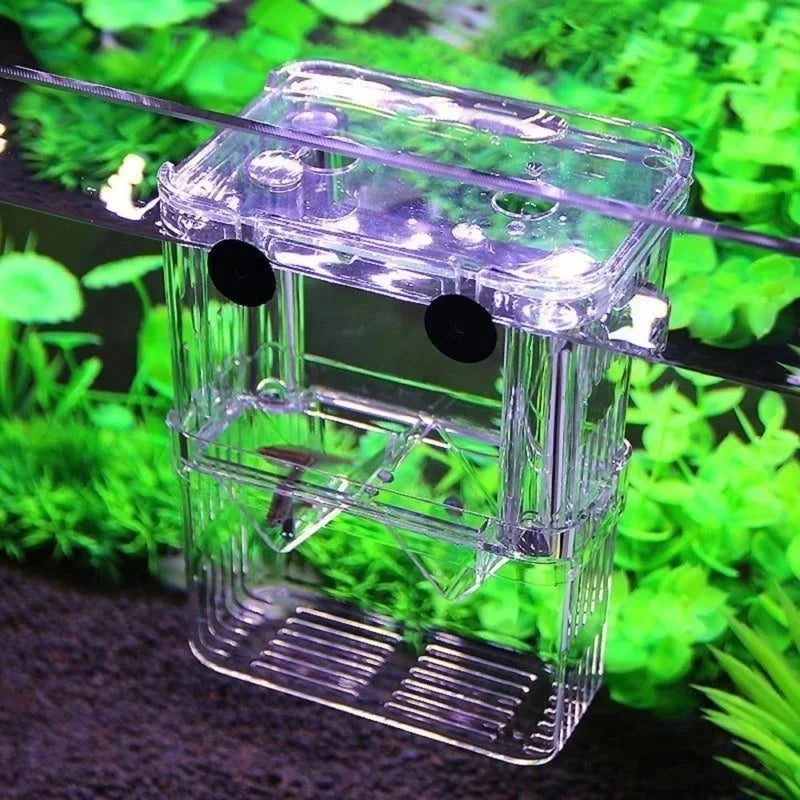 Multifunctional Fish Tank High Definition Fish Breeding Isolation Box Aquarium Breeder Fish Tank Double Guppy Incubator