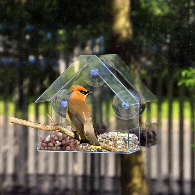 Window Bird Feeder Ultra-Strong Suction Cup, and Weather-Resistant Design for Garden Yard Patio Triangle Acrylic Bird Feeder