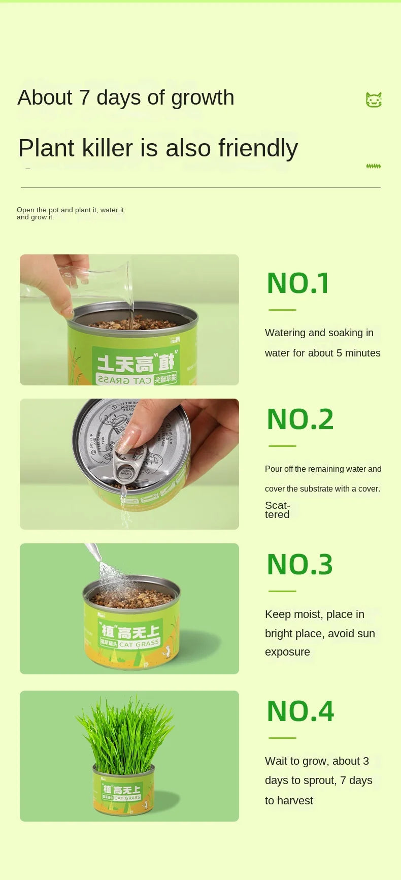 Cat Grass Jar Snacks for Adult Cats and Kittens Green Plant Wheat Seedling Hair Balls To Supplement Nutritional Cat Snacks