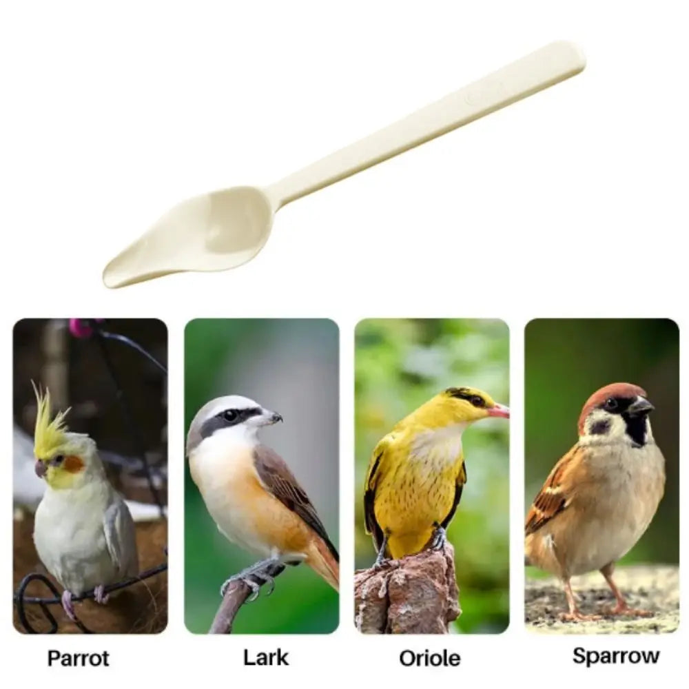 Plastic Bird Milk Powder Feeder Long Handle Thickened Chicks Medicine Spoon Heat-resisting Bird Food Water Spoon for Feeding