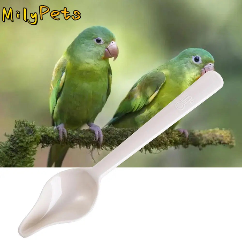 Plastic Bird Milk Powder Feeder Long Handle Thickened Chicks Medicine Spoon Heat-resisting Bird Food Water Spoon for Feeding