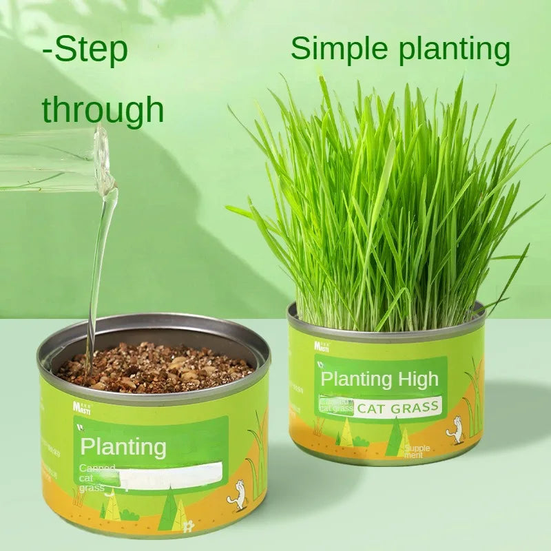 Cat Grass Jar Snacks for Adult Cats and Kittens Green Plant Wheat Seedling Hair Balls To Supplement Nutritional Cat Snacks