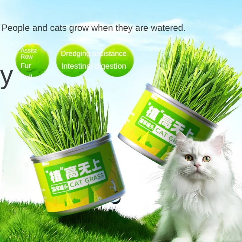 Cat Grass Jar Snacks for Adult Cats and Kittens Green Plant Wheat Seedling Hair Balls To Supplement Nutritional Cat Snacks