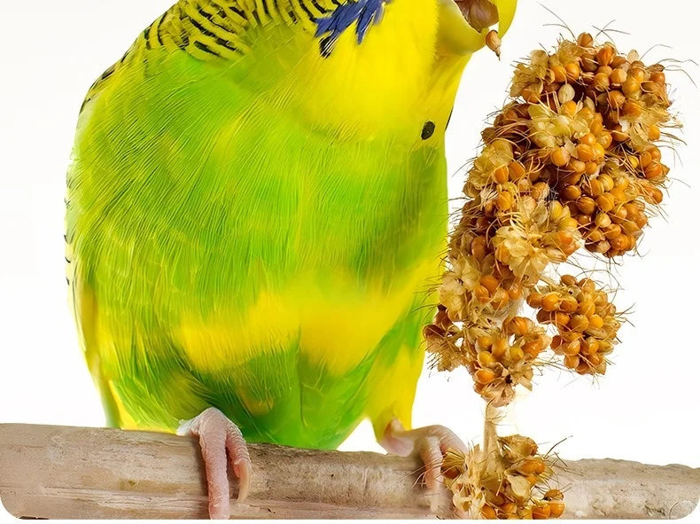 Parrot Food Budgie Psittacula Paeonia Psittacula Little Sun Monk Parrot Mixed Grain Parrot Feed Bird Feed Seasonal New Grain