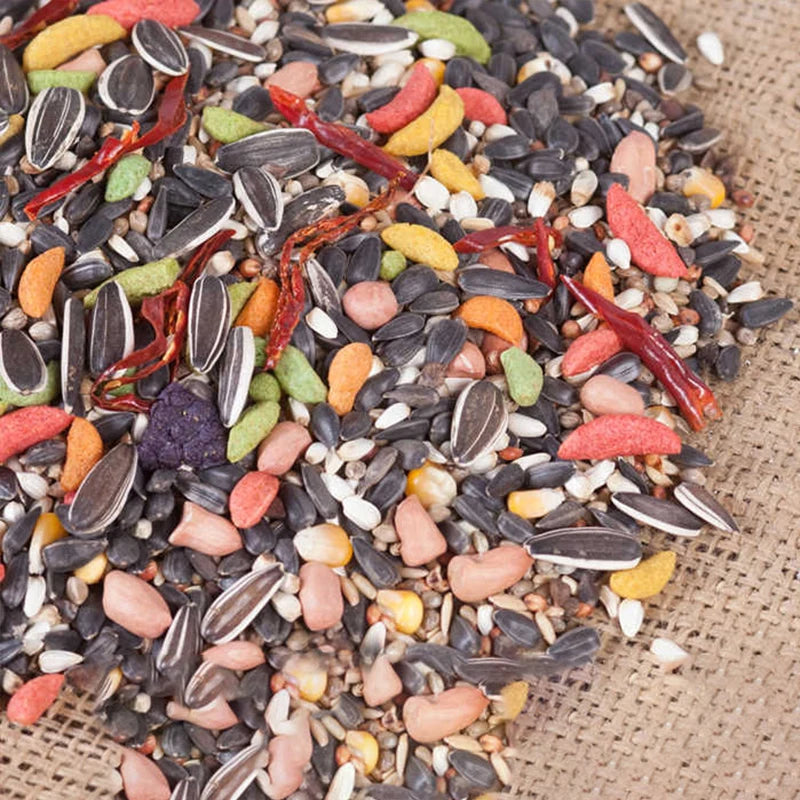 Medium and large small sun golden sun monk Ariel Fei-breasted gray parrot compromise sunflower feed bird food 1000g