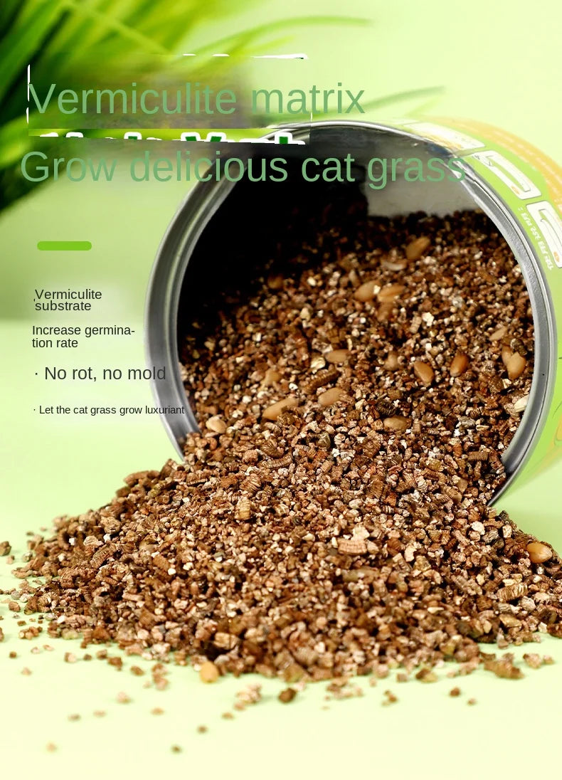 Cat Grass Jar Snacks for Adult Cats and Kittens Green Plant Wheat Seedling Hair Balls To Supplement Nutritional Cat Snacks