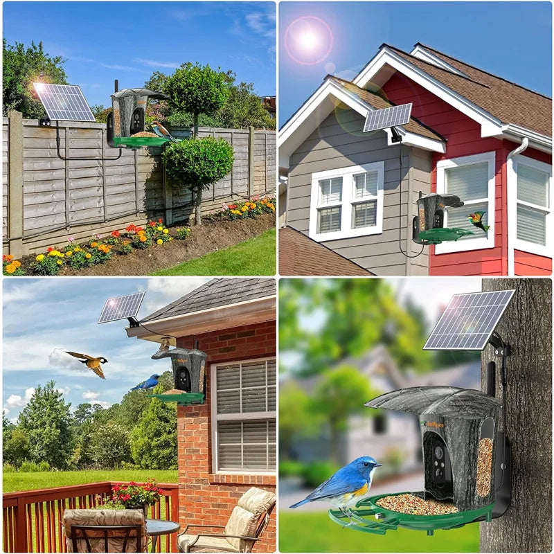 AI Smart Bird Feeder Camera with 64G Card,1080P HD AI Identify Bird Species,Hummingbird Feeder,Bird House with 7W Solar Panel